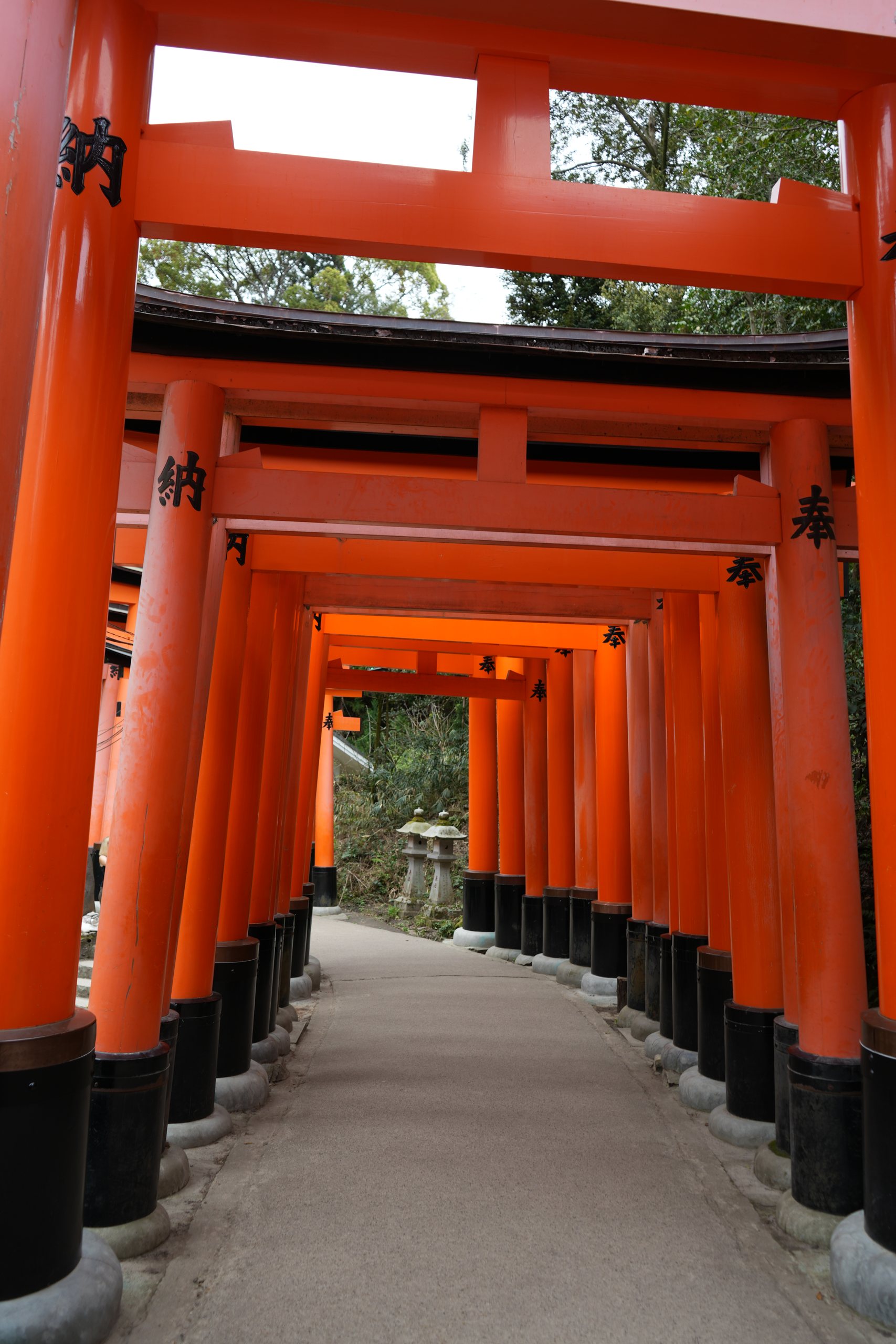 An empty path through the vermilion torii gates of Fushimi Inari, Kyoto