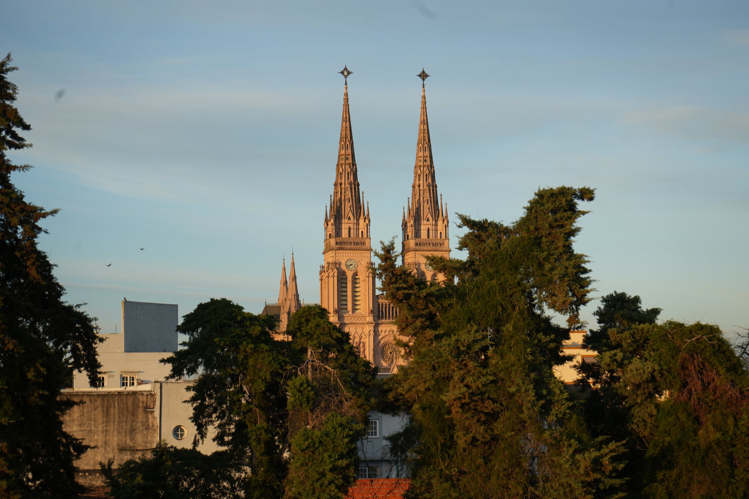 The twin spires of the Basilica of Luján in golden light above dark trees